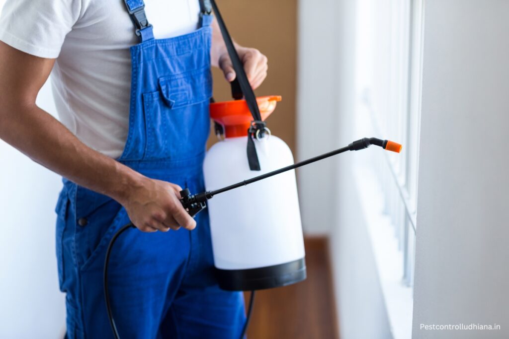 Residential Pest Control in Ludhiana
